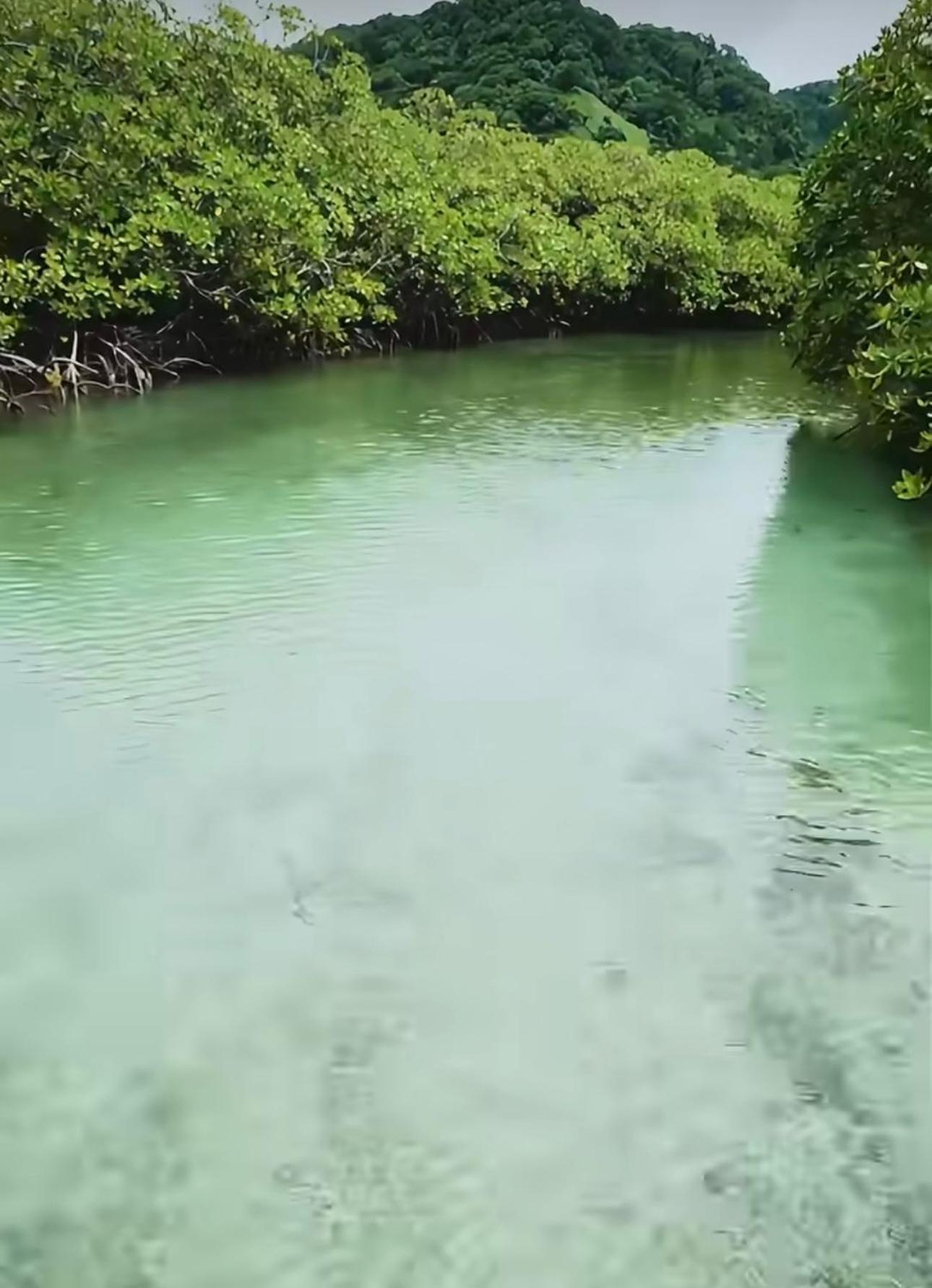 Ranchos De Chalia Panama